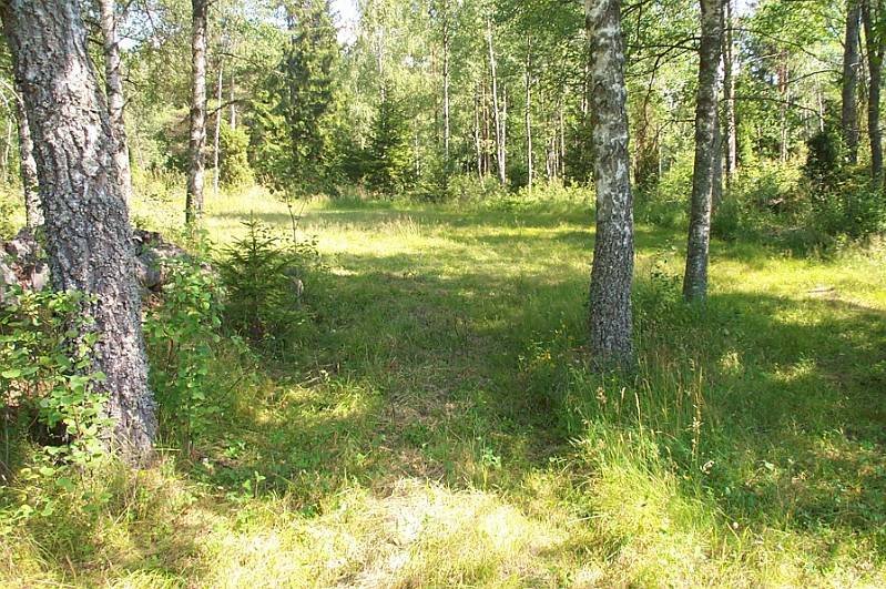 Här kommer mål och sekretariat att byggas.